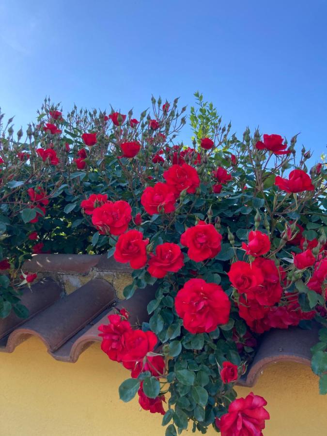 La Rosa Del Lago ブラッチャーノ エクステリア 写真